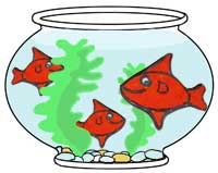 fishes-in-bowl.jpg