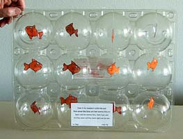 Small card fishes swimming in an apple box aquarium