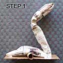 Swan Step 1