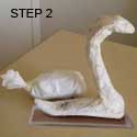 Swan Step 2