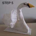 Swan Step 5